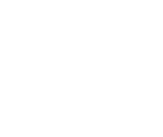 Austin NARI